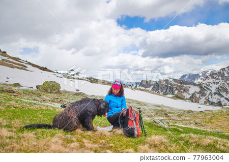 A woman from food to her dog during a walk in the mountains A woman from food to her dog during a walk in the mountains 77963004