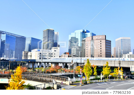 從三岳橋/目黑河（東京都品川區）附近的大崎站眺望[2020.11] 77963230
