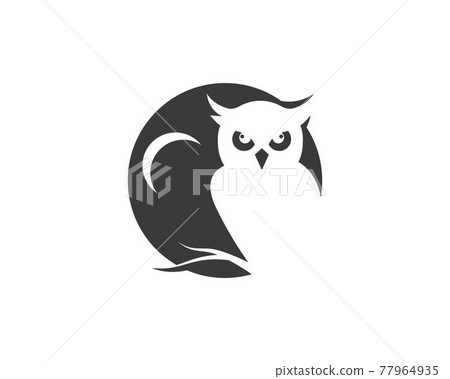 owl icon vector illustration 77964935