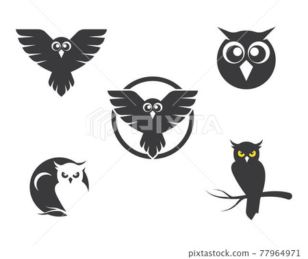 owl icon vector illustration 77964971