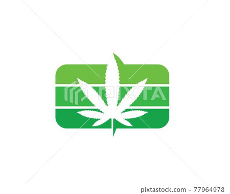 cannabis leaf vector icon illustration design cannabis leaf vector icon illustration design 77964978
