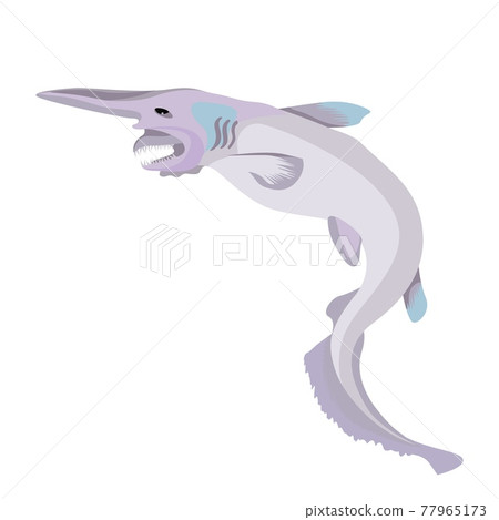 Goblin shark. Wildlife animal. Underwater fish. Vector 77965173