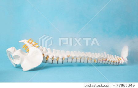 Mock up of a human spine on a blue background and steam from low temperatures. Cold spine treatment concept, ozone therapy and cryotherapy. Copy space for text Mock up of a human spine on a blue background and steam from low temperatures. Cold spine treatment concept, ozone therapy and cryotherapy. Copy space for text 77965349