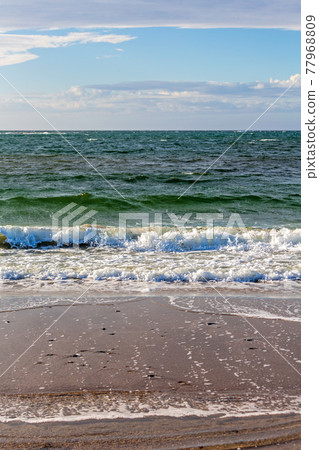 North Sea Nature 77968809