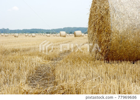 Haybails Haybails 77969686