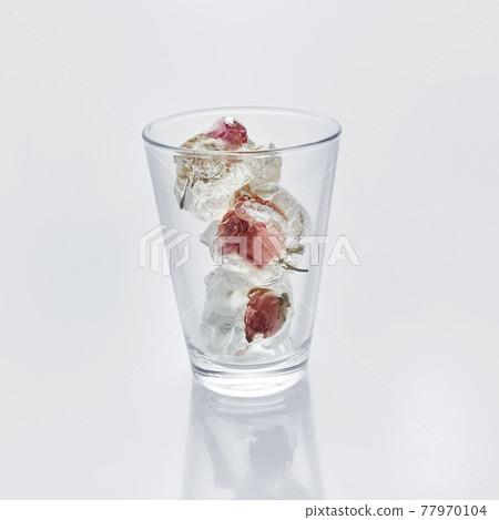Glass of water with frozen roses in ice cubes on white background Glass of water with frozen roses in ice cubes on white background 77970104