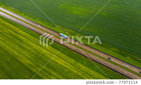 Top view of the sown green in Belarus.Agriculture in Belarus.Texture 77973114