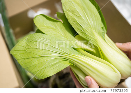 Arrival of vegetable delivery service Arrival of vegetable delivery service 77973295