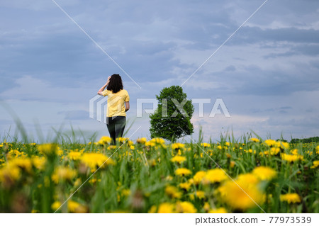 A girl in a yellow T-shirt moves across the field with flowers. Yellow flowers, green grass, blue sky, oak. Travel outside the city. Leisure 77973539