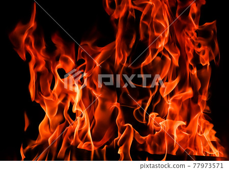 Flames of fire on a black background. The mystery of fire. Flames of fire on a black background. The mystery of fire. 77973571