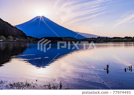 (Shizuoka Prefecture) Lake Tanuki Diamond Fuji (Shizuoka Prefecture) Lake Tanuki Diamond Fuji 77974493