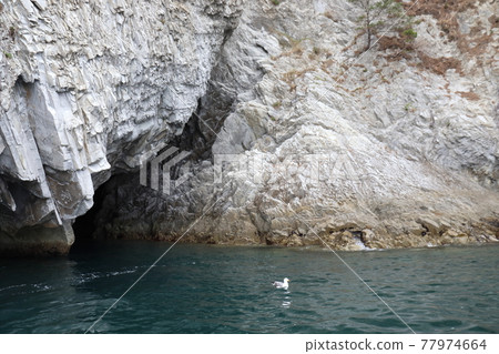 Miyako Sanriku blue cave entrance and stone pillars Miyako Sanriku blue cave entrance and stone pillars 77974664