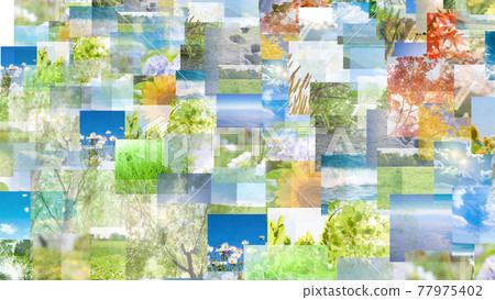 NFT image NFT image 77975402