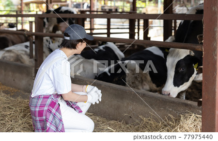Young dairy farmer working on a ranch Young dairy farmer working on a ranch 77975440