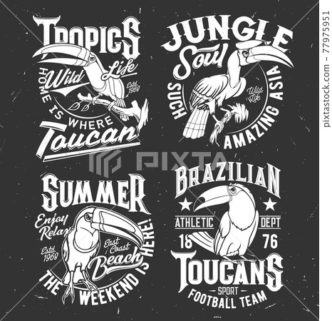 T-shirt print template with toucan tropical bird 77975951