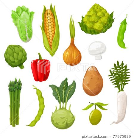 Farm cartoon vegetables, organic veggies harvest Farm cartoon vegetables, organic veggies harvest 77975959
