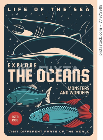 Ocean life, undersea monsters and wonders poster 77975988