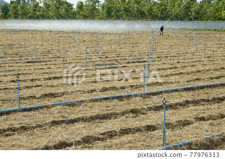 Plowed soil in vegetable plots With sprinkler systems and water pipes 77976313