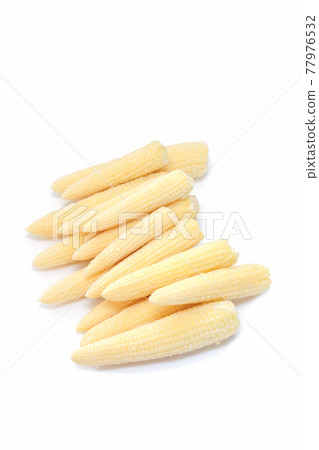 Young corn [white background] 77976532