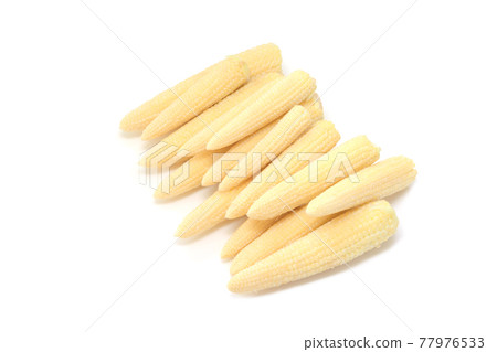 Young corn [white background] 77976533