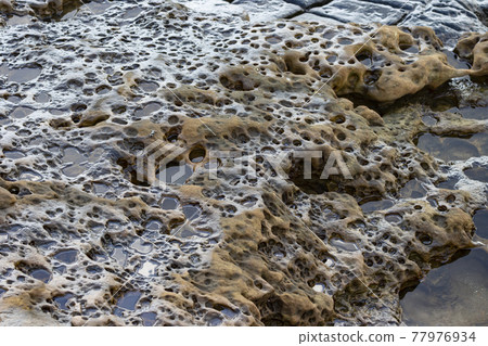 野柳的蜂窩岩地形 77976934