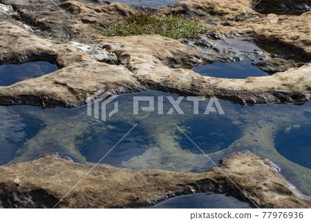 野柳的蜂窩岩地形 野柳的蜂窩岩地形 77976936