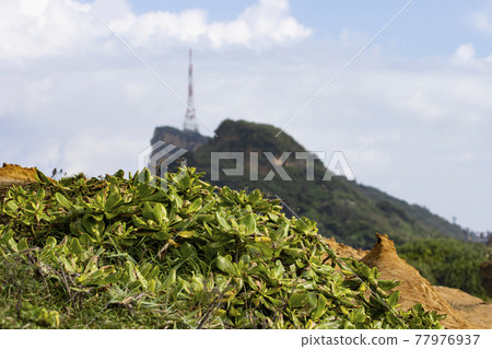 野柳沿岸的地質景觀 77976937
