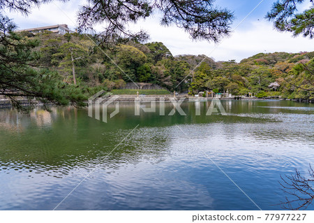 位於山口縣萩市笠山東麓的天然水族館明神池 77977227