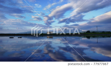 Superb view scenery Rice field reflection 77977867