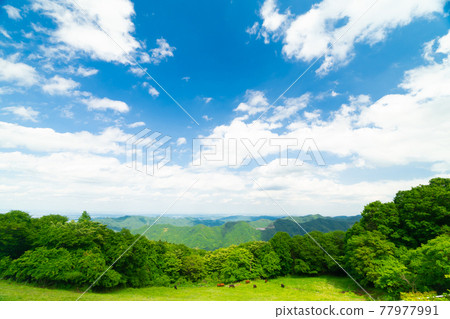 Chichibu Highland 77977991