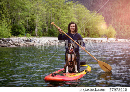 Adult Caucasian Adventure Woman on a paddle board with boxer dog 77978626