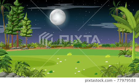 Nature forest landscape at night scene 77979588