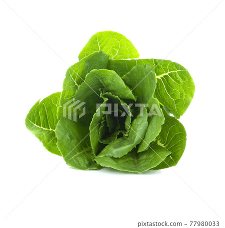 lettuce leaves isolated on white background. 77980033
