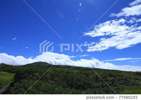 Scenery from Tsukiyama Scenery from Tsukiyama 77980285