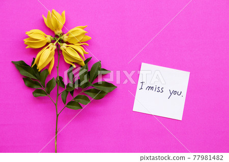 i miss you message card handwriting in with yellow flowers ylang ylang  77981482