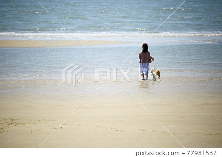 When you miss the sea!, Scenery with the sea 77981532