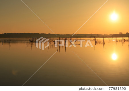 晨光的山。 77981890