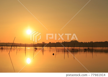 晨光的山。 晨光的山。 77981914