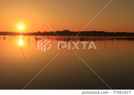 晨光的山。 77981937