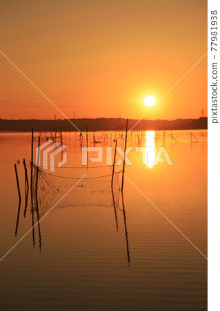 晨光的山。 77981938