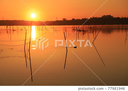 晨光的山。 77981946