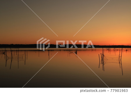 晨光的山。 77981983