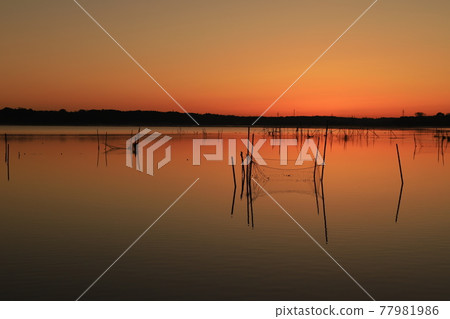 晨光的山。 77981986