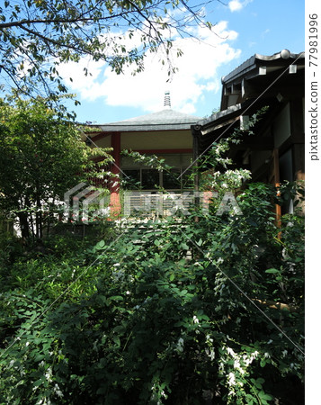 Ryugenji Temple (main hall) in Kameido, Koto-ku, where white hagi blooms Ryugenji Temple (main hall) in Kameido, Koto-ku, where white hagi blooms 77981996