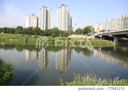 中娘溪、自行車道、鯉魚學校、水流 77983251