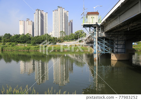 中娘溪、自行車道、鯉魚學校、水流 77983252