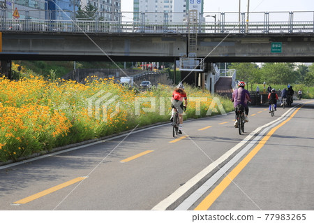 中娘溪、自行車道、鯉魚學校、水流 77983265