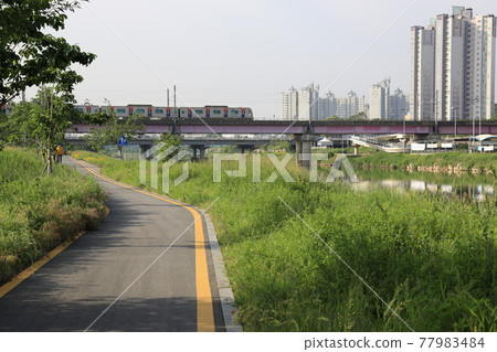 Jungnangcheon. Ecosystem. Road. Walking trail. Stone bridge. Roses 77983484