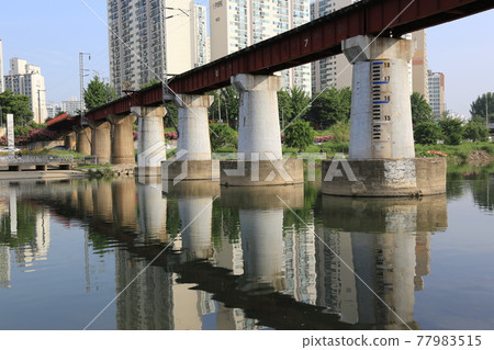 中浪川、生態系、道路、步道、石橋、玫瑰花 77983515