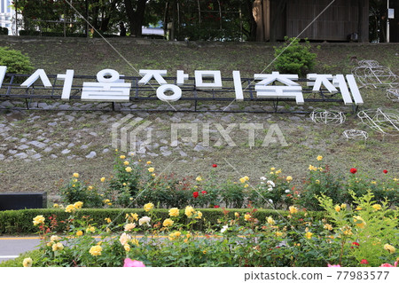 Jungnangcheon. Ecosystem. Road. Walking trail. Stone bridge. Roses Jungnangcheon. Ecosystem. Road. Walking trail. Stone bridge. Roses 77983577